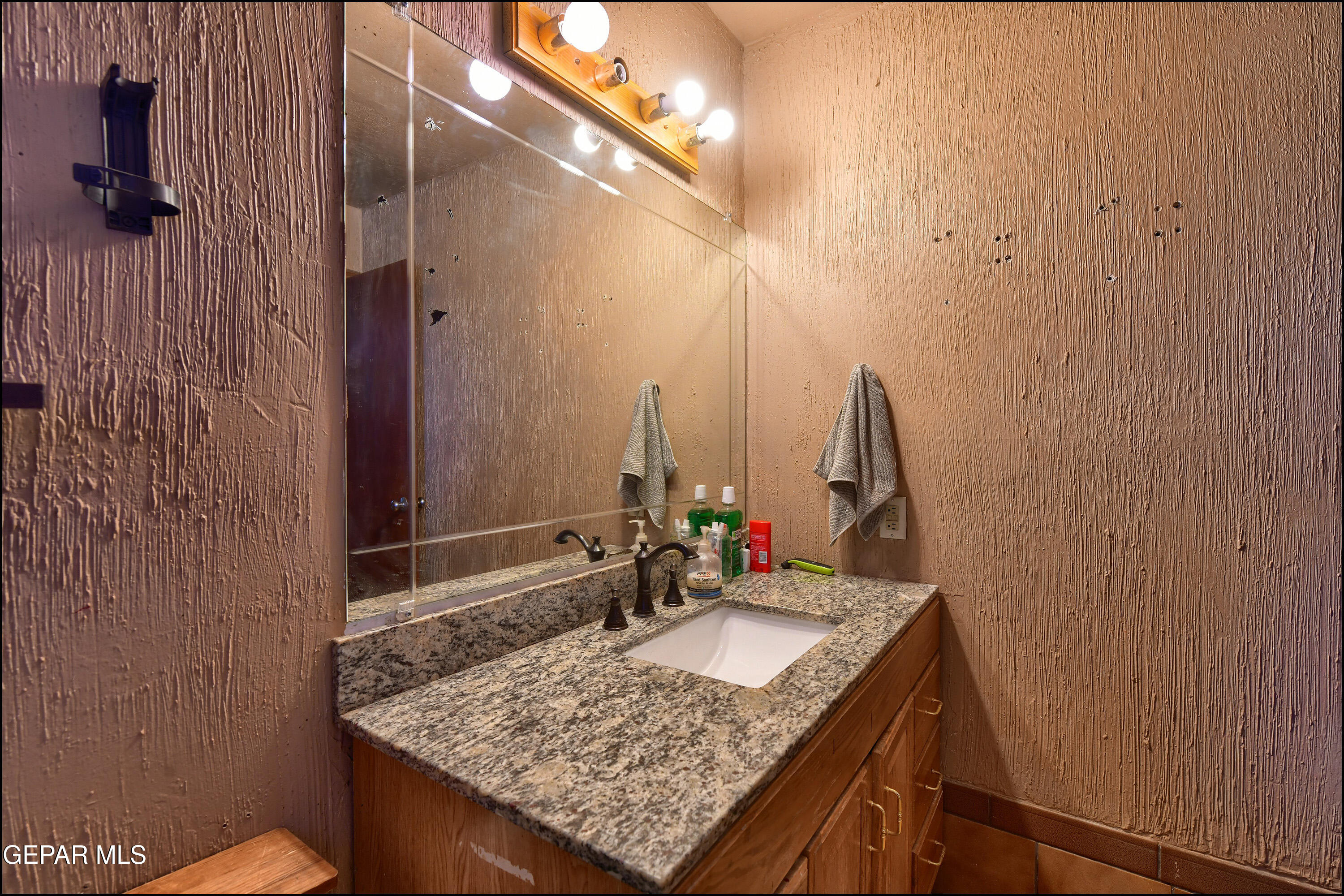 395 Gabaldon Road Anthony, NM 88021 - Photo 40 of 87 34