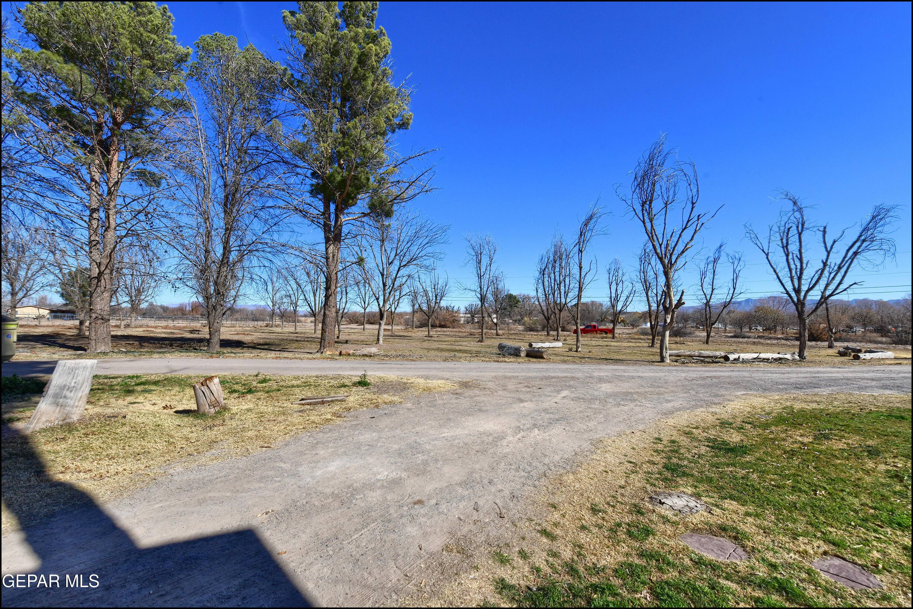395 Gabaldon Road Anthony, NM 88021 - Photo 47 of 84 a view of outdoor space with trees