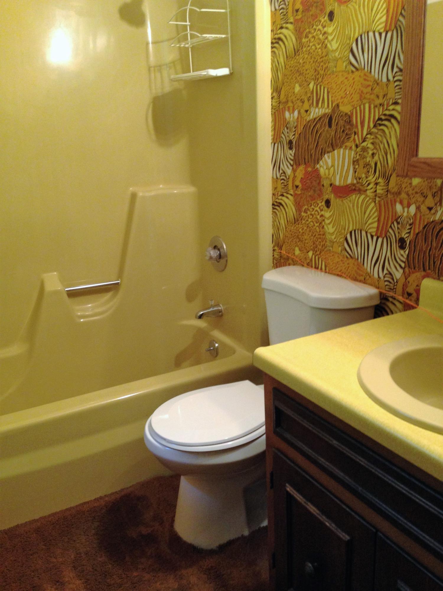 124 Caldwell Drive Oak Ridge, TN 37830 - Photo 20 of 30 IMG_5450