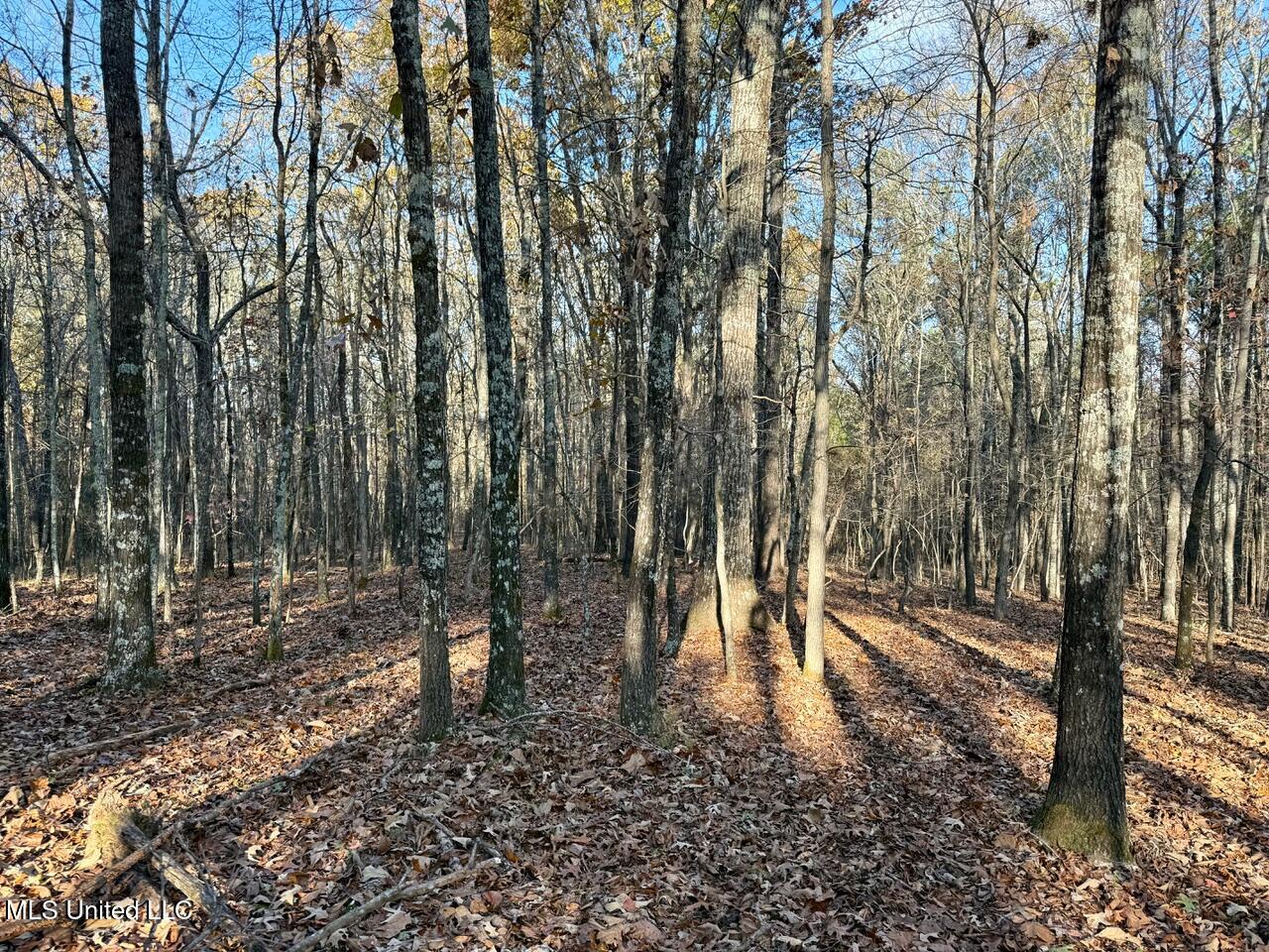 5 Mill Pond Road Lamar, MS 38642 - Photo 21 of 99 IMG_0148