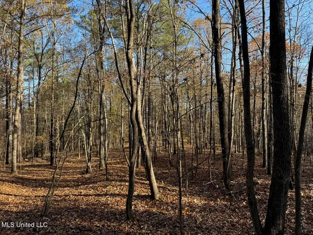 $75,000 | 5 Mill Pond Road, Lamar, MS 38642