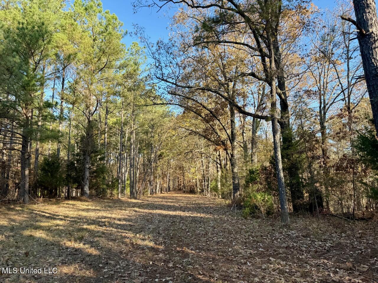 5 Mill Pond Road Lamar, MS 38642 - Photo 30 of 99 IMG_0159