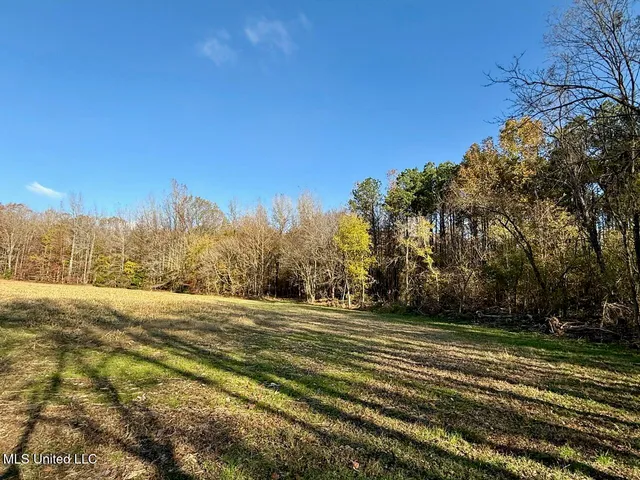 $75,000 | 5 Mill Pond Road, Lamar, MS 38642