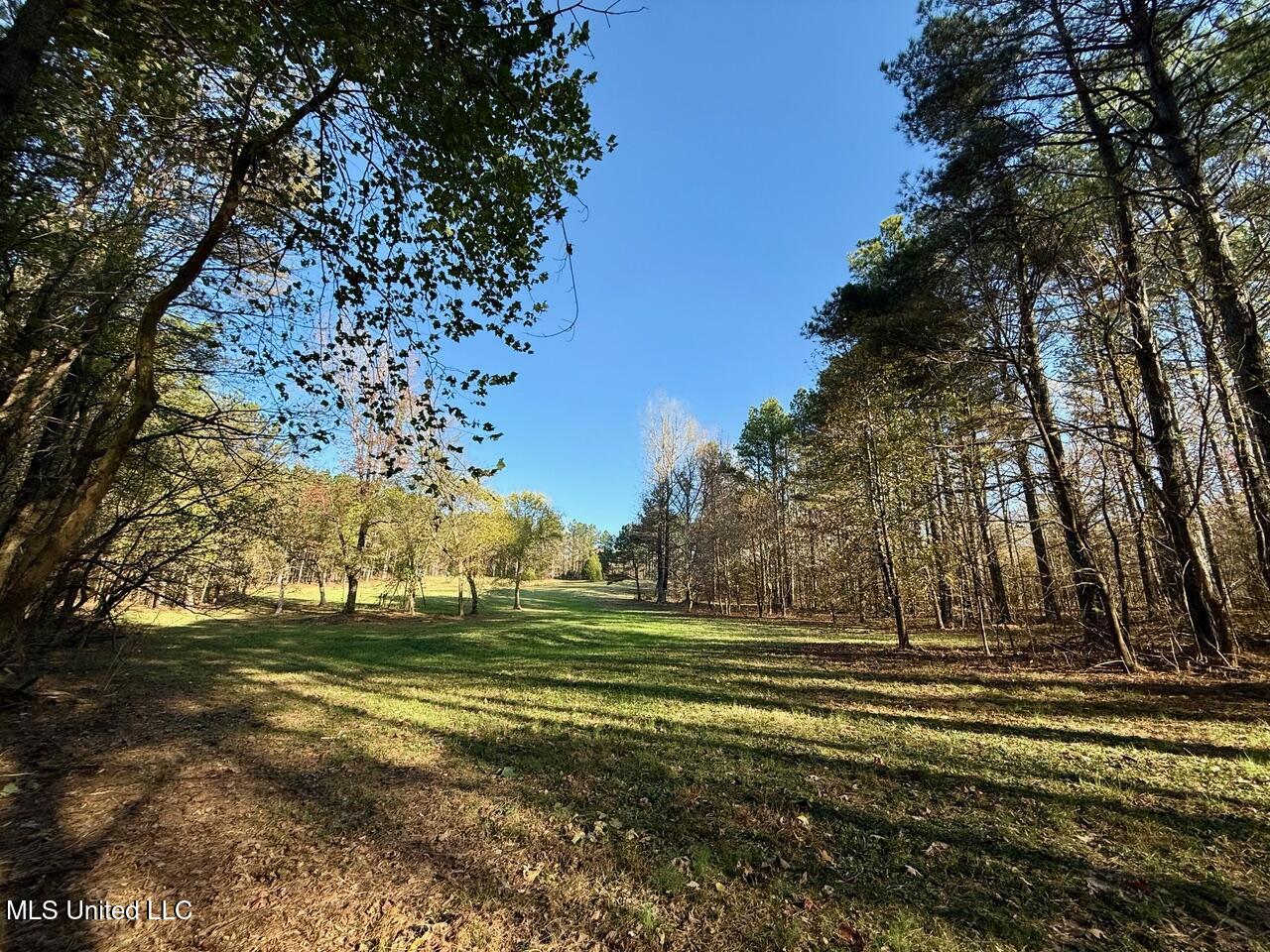 5 Mill Pond Road Lamar, MS 38642 - Photo 40 of 99 IMG_0179