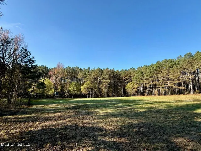 $75,000 | 5 Mill Pond Road, Lamar, MS 38642