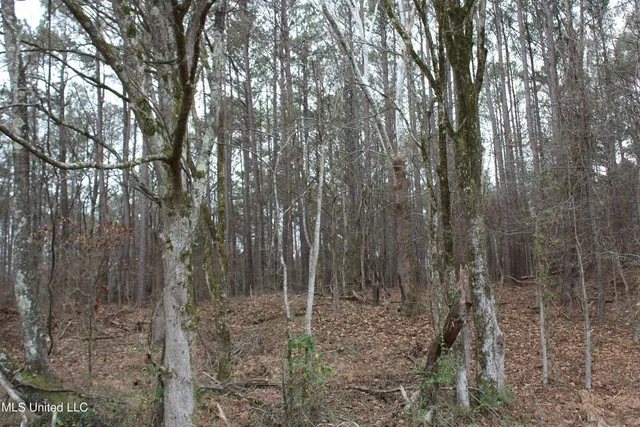 $75,000 | 5 Mill Pond Road, Lamar, MS 38642