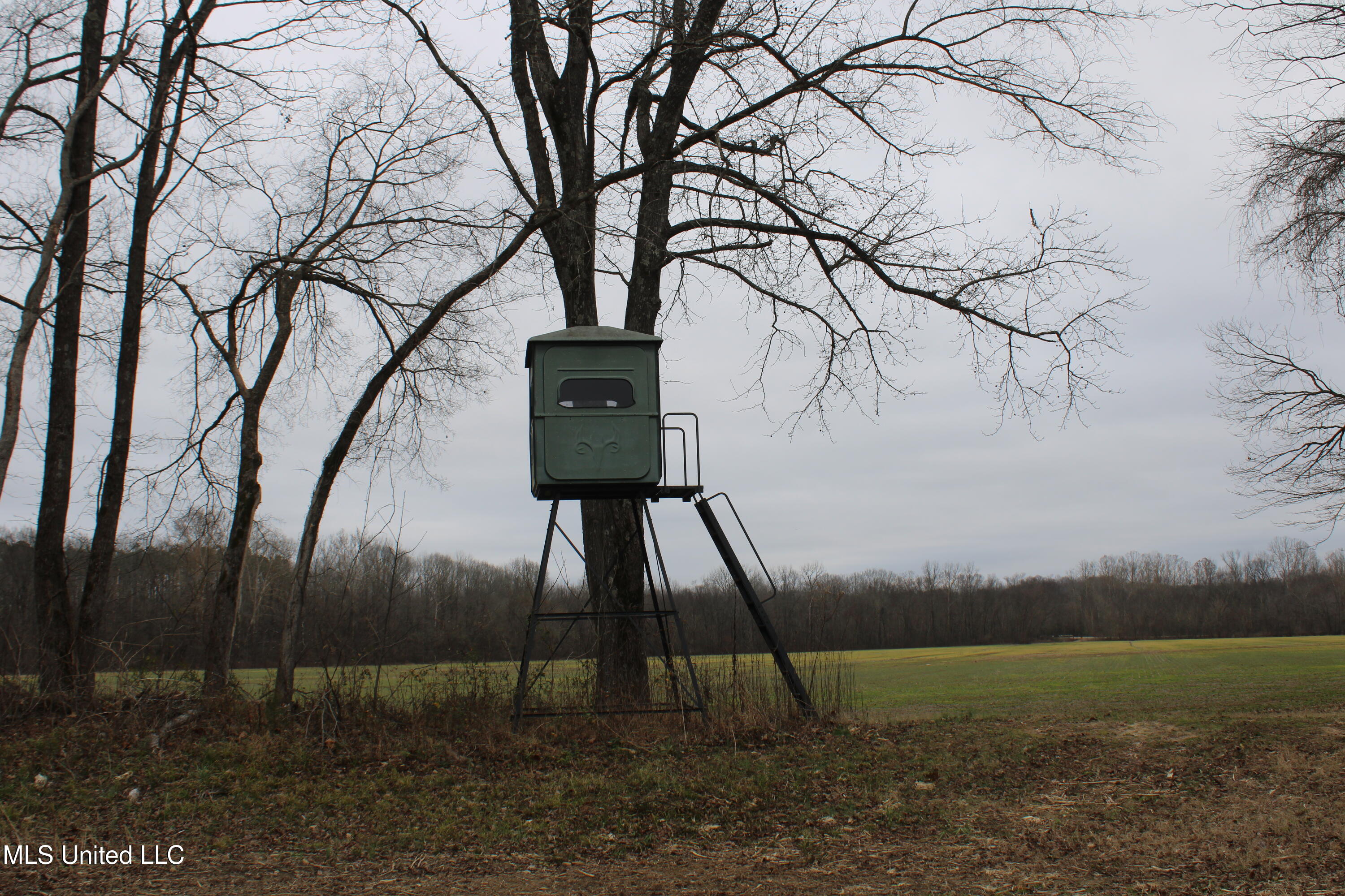 5 Mill Pond Road Lamar, MS 38642 - Photo 55 of 99 IMG_5275
