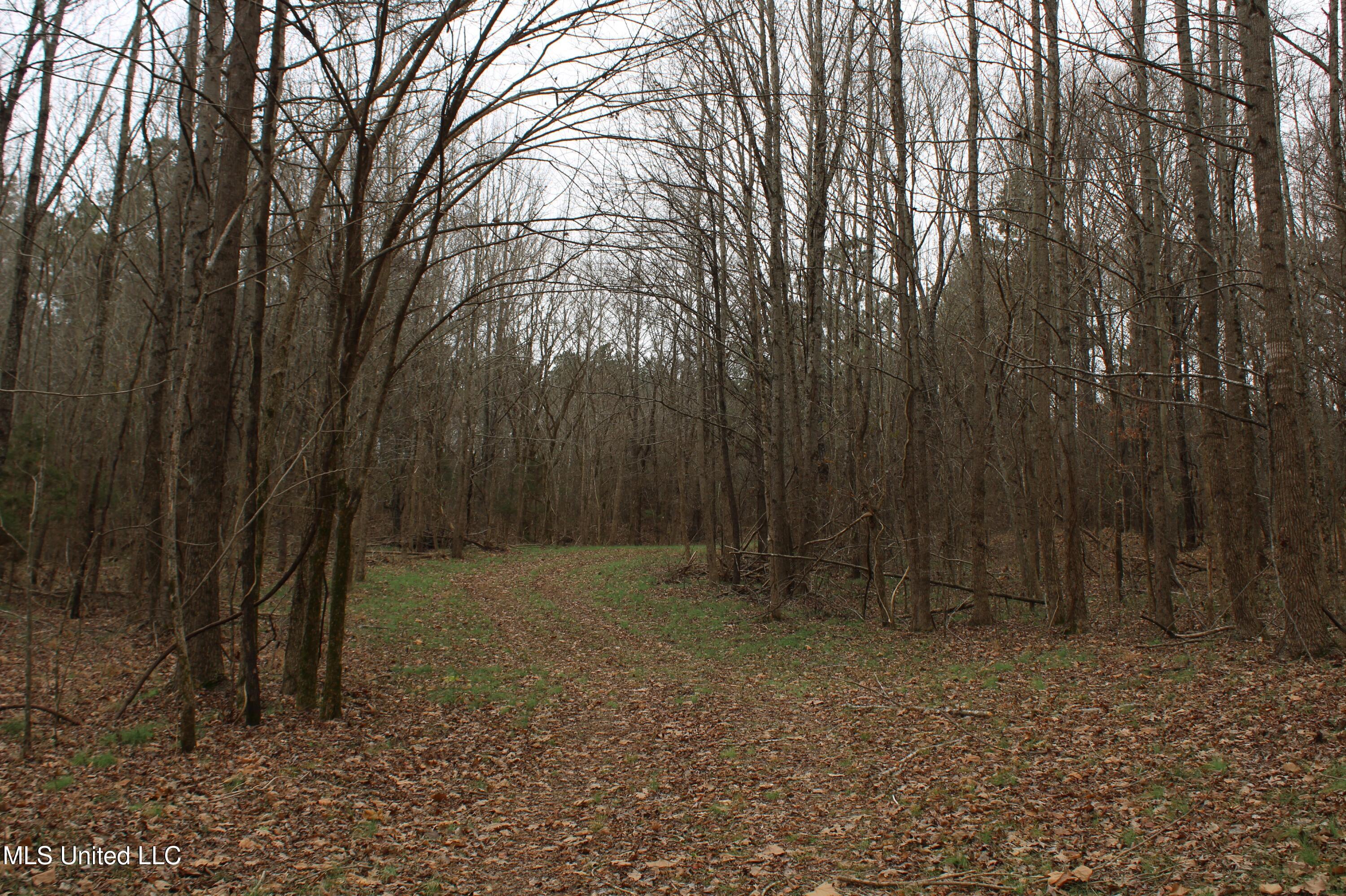 5 Mill Pond Road Lamar, MS 38642 - Photo 56 of 99 IMG_5276