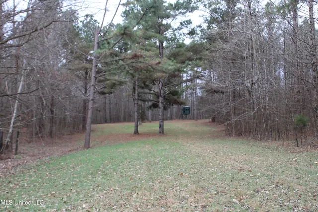 $75,000 | 5 Mill Pond Road, Lamar, MS 38642