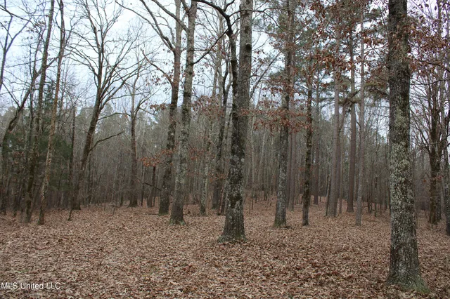 $75,000 | 5 Mill Pond Road, Lamar, MS 38642