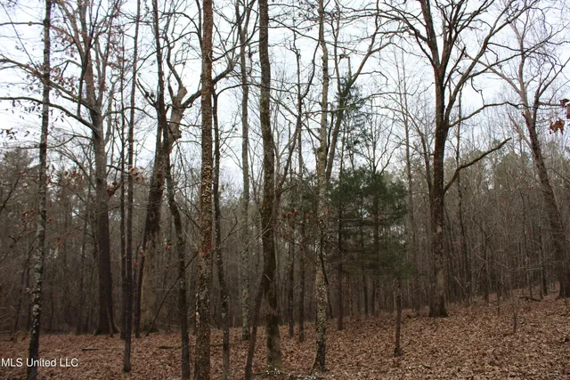 $75,000 | 5 Mill Pond Road, Lamar, MS 38642