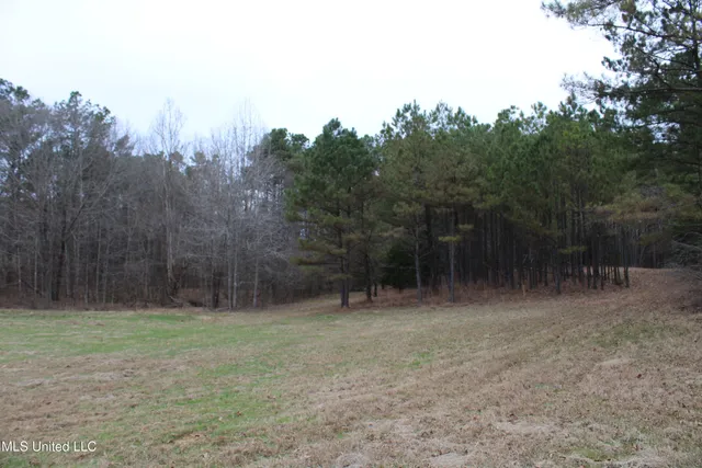 $75,000 | 5 Mill Pond Road, Lamar, MS 38642