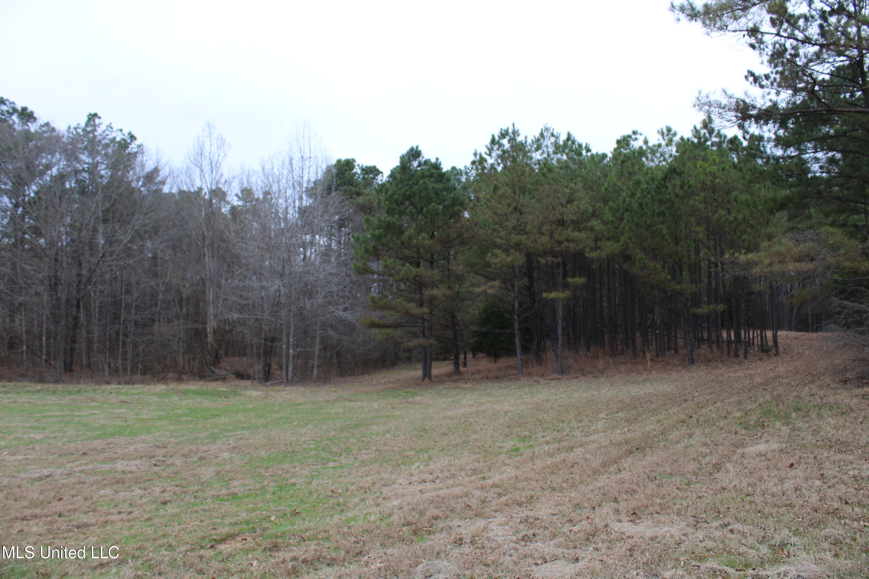 5 Mill Pond Road Lamar, MS 38642 - Photo 70 of 99 IMG_5290