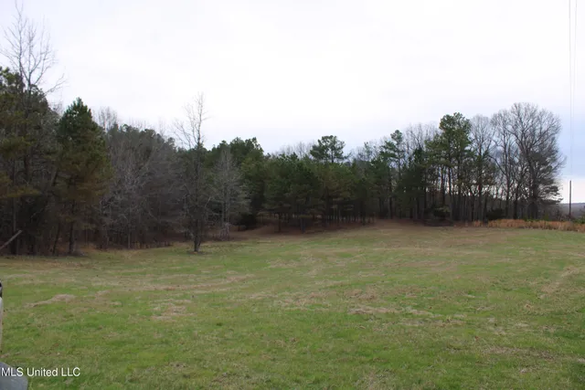 $75,000 | 5 Mill Pond Road, Lamar, MS 38642