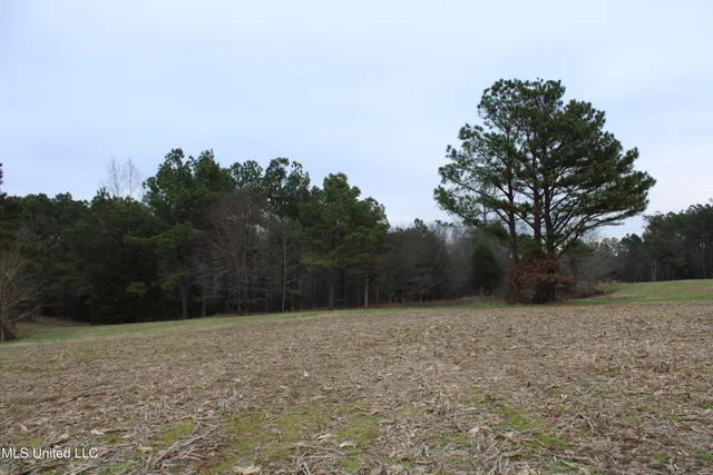 $75,000 | 5 Mill Pond Road, Lamar, MS 38642