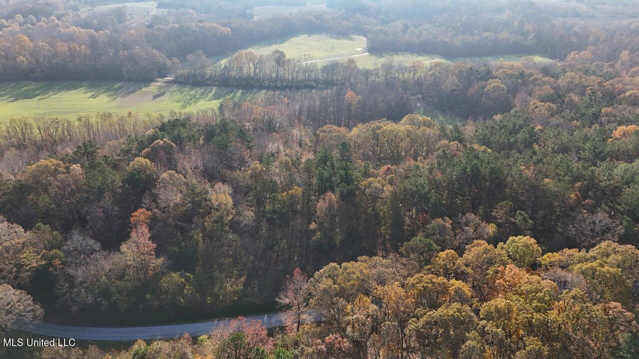 5 Mill Pond Road Lamar, MS 38642 - Photo 8 of 99 dji_fly_20241126_083024_0196_17326582912
