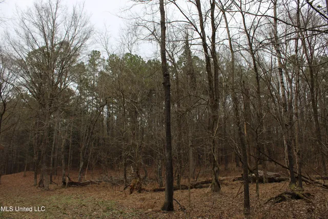 $75,000 | 5 Mill Pond Road, Lamar, MS 38642