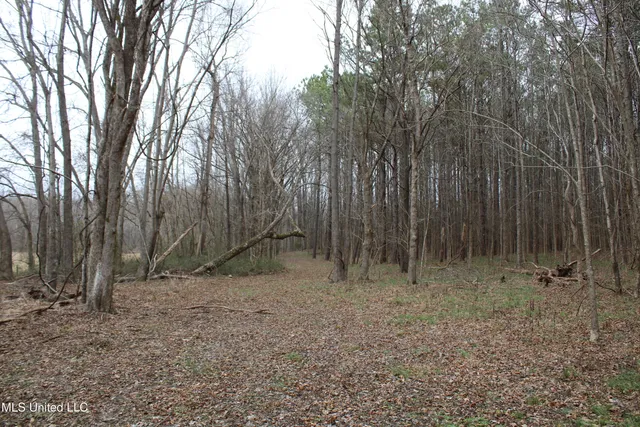 $75,000 | 5 Mill Pond Road, Lamar, MS 38642