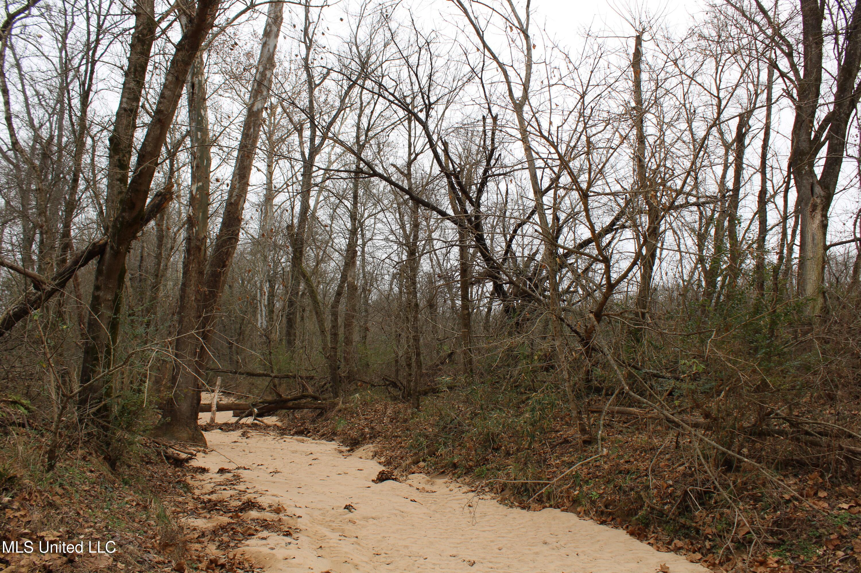 5 Mill Pond Road Lamar, MS 38642 - Photo 86 of 99 IMG_5306