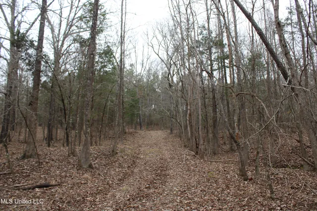 $75,000 | 5 Mill Pond Road, Lamar, MS 38642