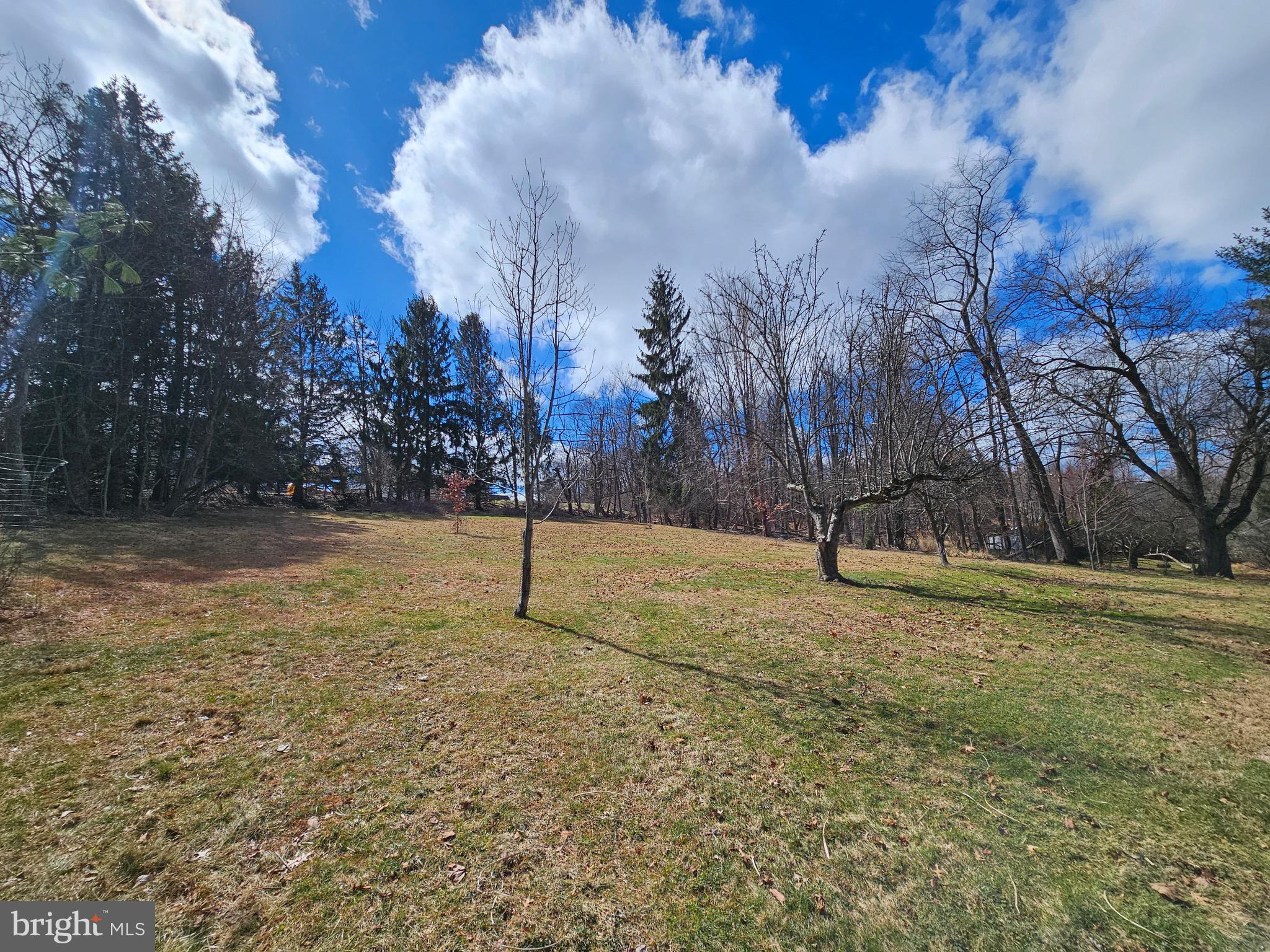 205 Valley View Road Hellertown, PA 18055 - Photo 19 of 27 a view of a field with trees
