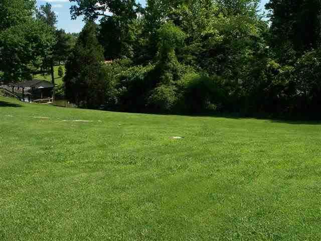 8445 Toestring Valley Road Spring City, TN 37381 - Photo 27 of 30 30