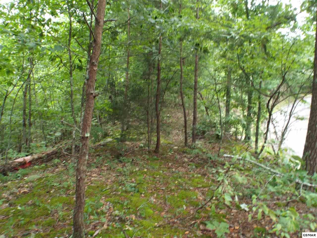 4 Lloyd Huskey Road Pigeon Forge, TN 37863 - Photo 4 of 10