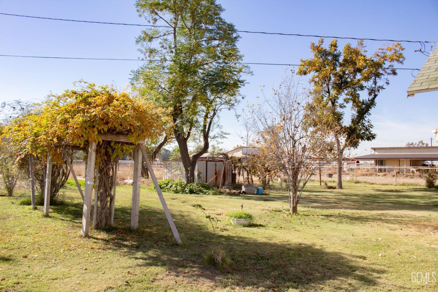Undisclosed Address Bakersfield, CA 93307 - Photo 19 of 29 a view of yard with tree