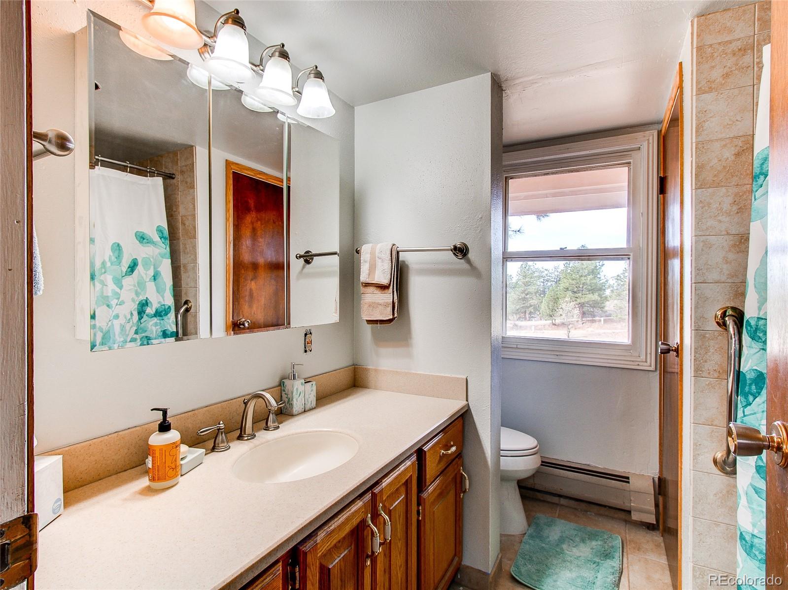 36593 View Ridge Drive Elizabeth, CO 80107 - Photo 19 of 32 Gallery Image 19