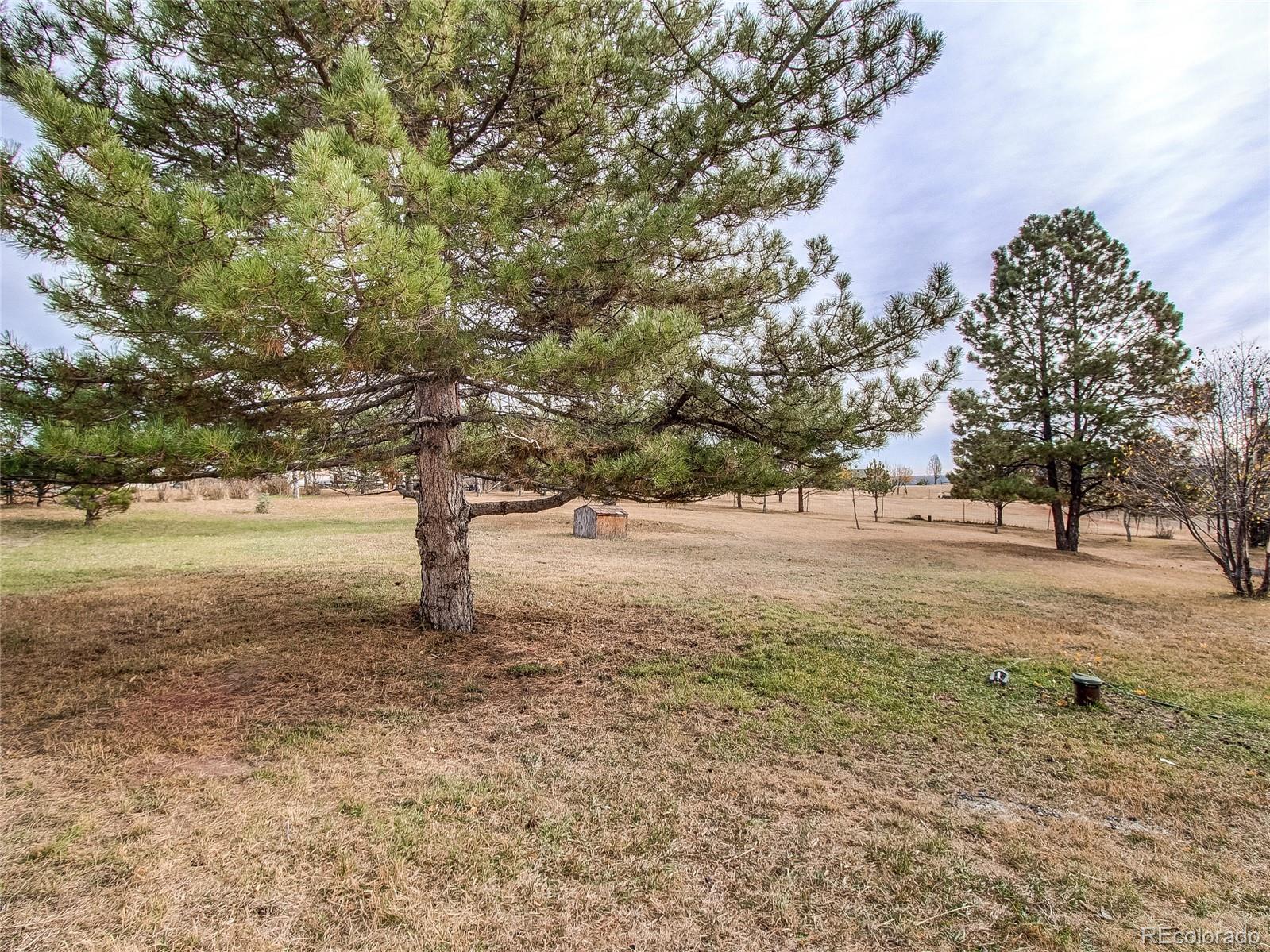 36593 View Ridge Drive Elizabeth, CO 80107 - Photo 28 of 32 Gallery Image 28