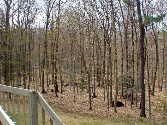 474 Norton Road Otis, MA 01029 - Photo 10 of 16 a view of outdoor space with a garden and trees
