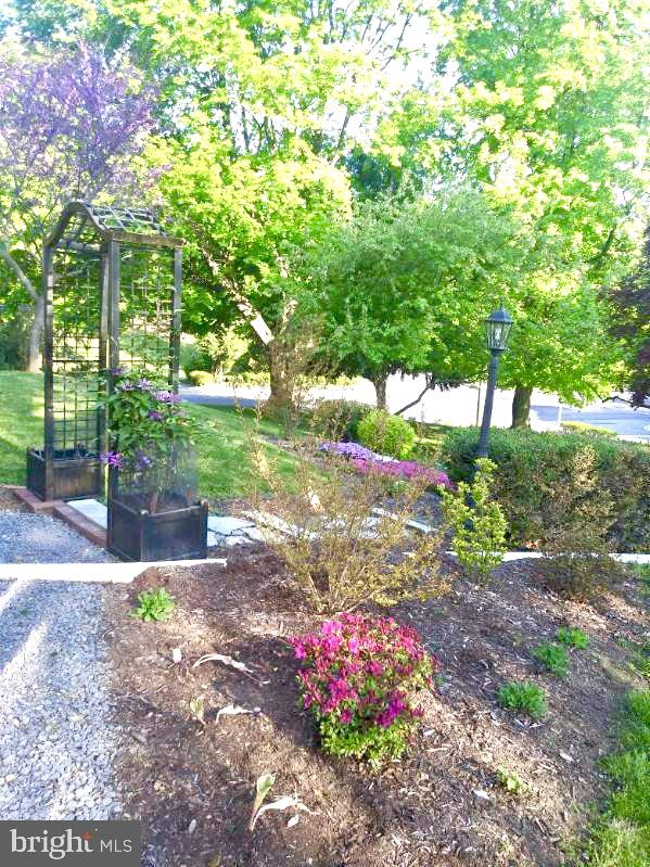 503 South Potomac Street Waynesboro, PA 17268 - Photo 36 of 36 a view of a garden with flowers