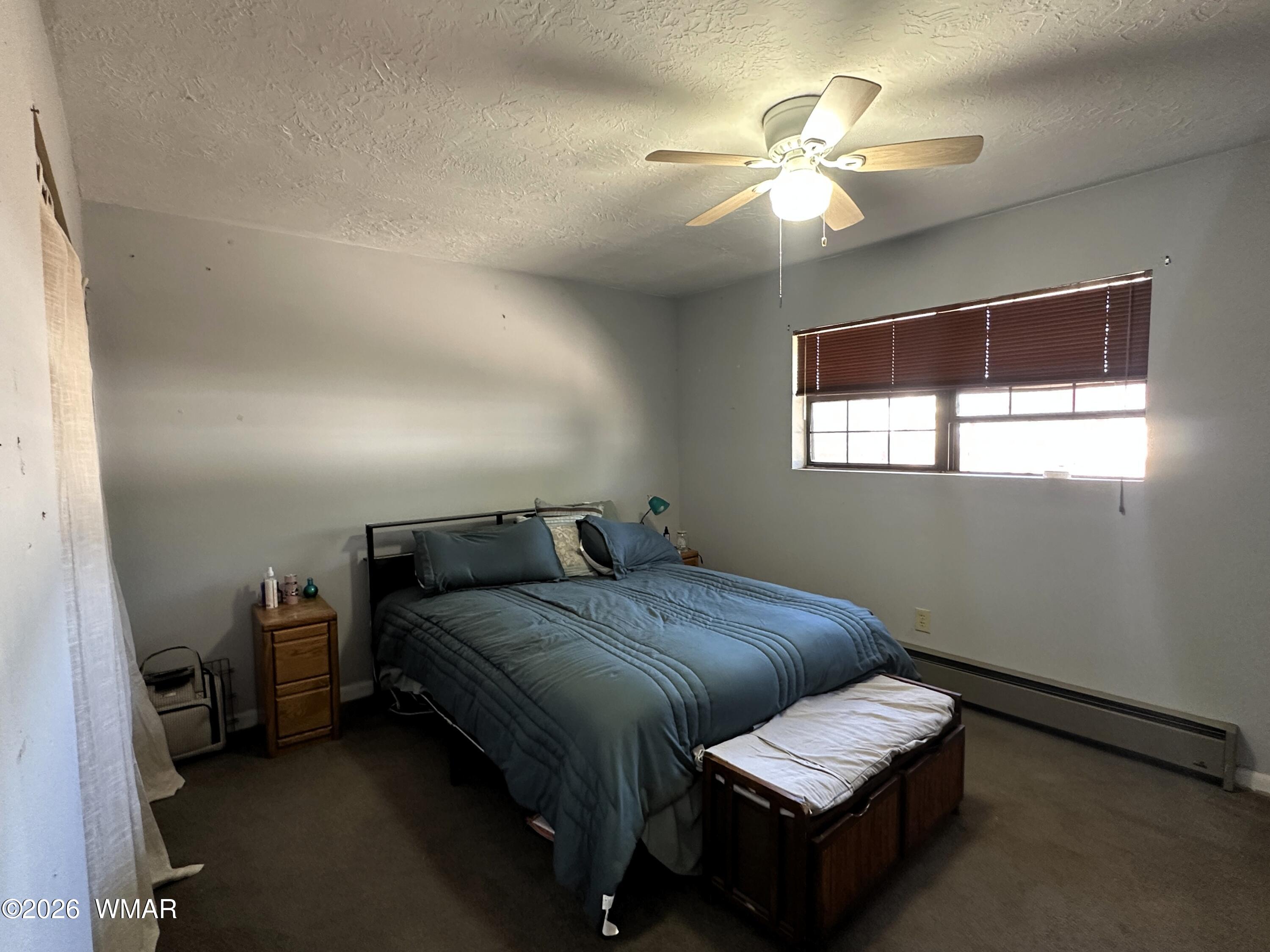 141 North Becker Lake Road Springerville, AZ 85938 - Photo 10 of 25 PRIMARY BEDROOM
