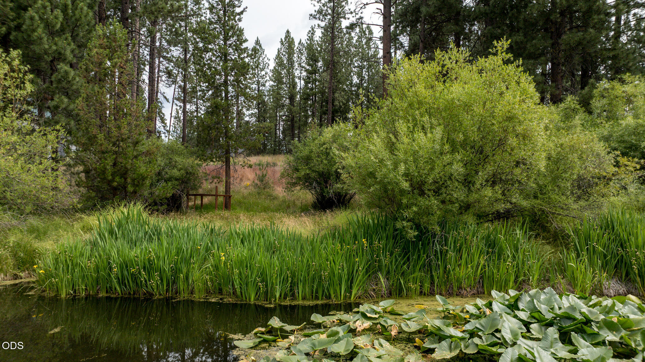 17191 Island Loop Way Bend, OR 97707 - Photo 5 of 12 Gallery Image 5