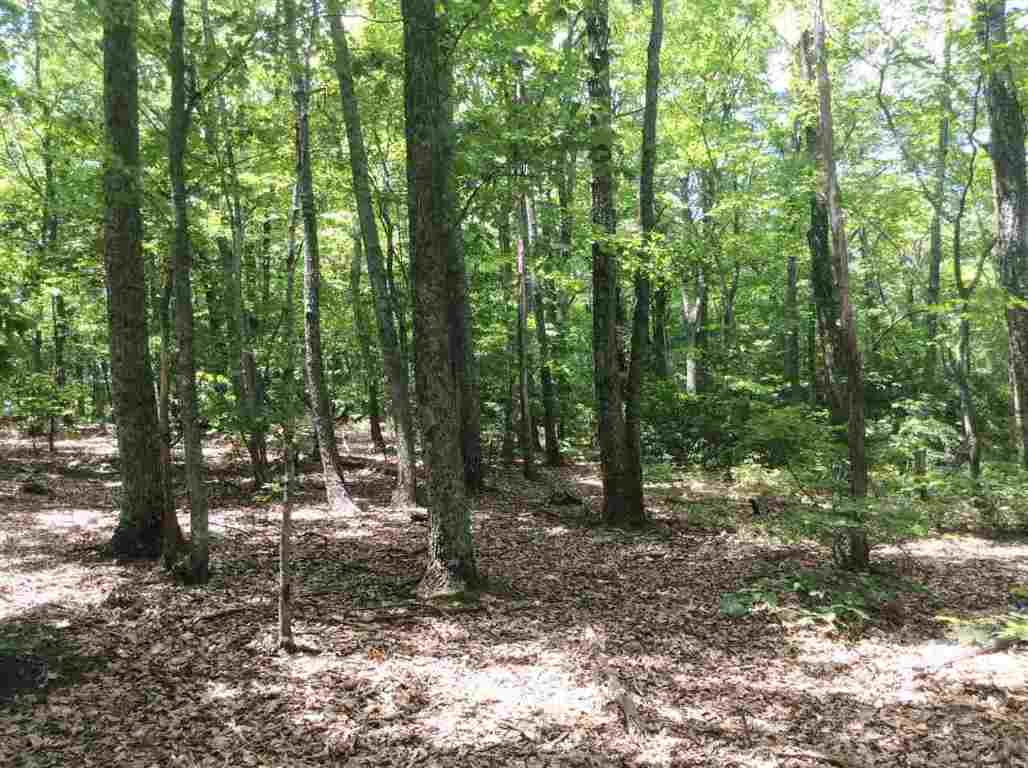 0 Carson Pittman Road Landrum, SC 29356 - Photo 3 of 10