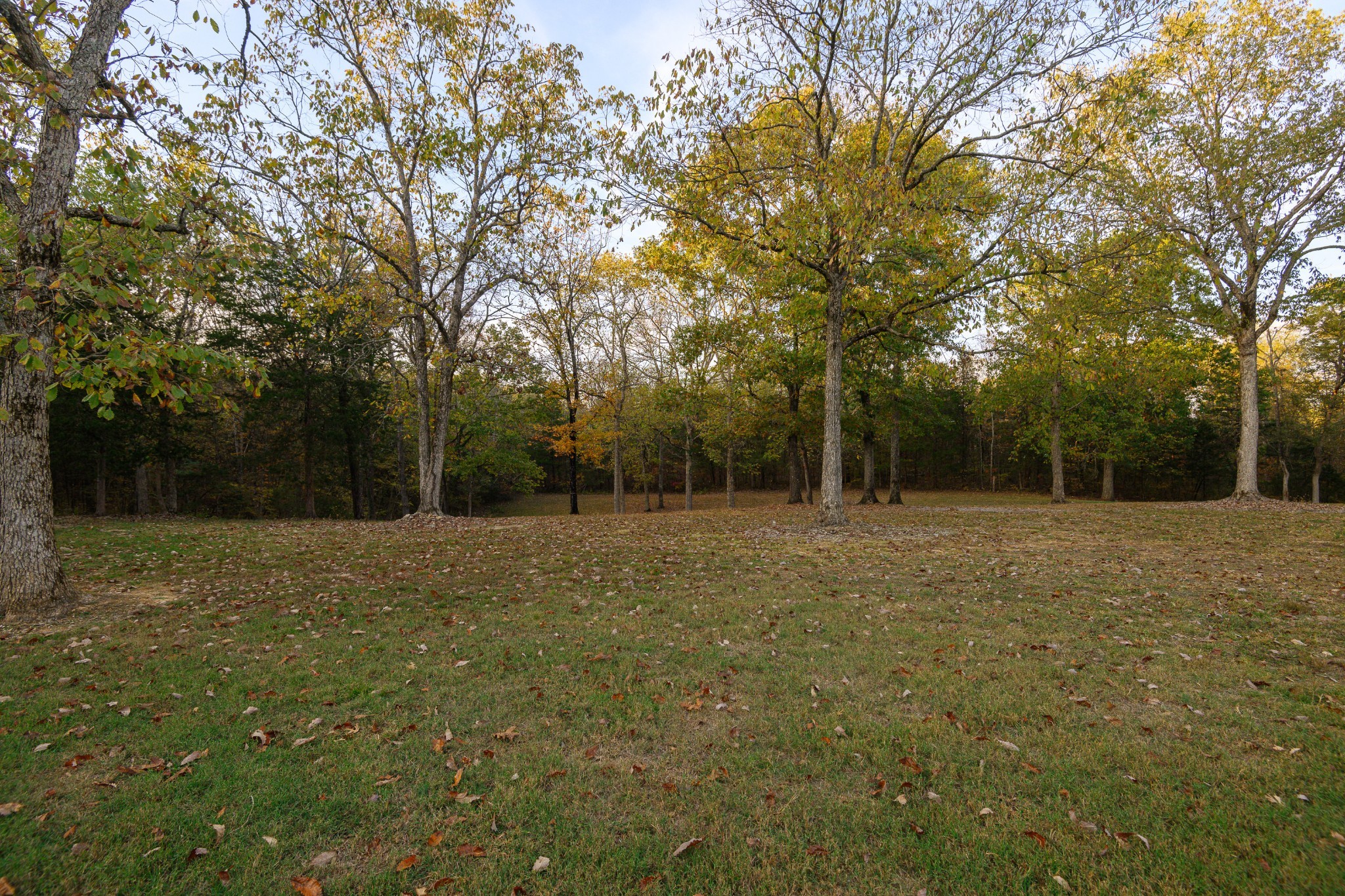 255 Troupe Road Shelbyville, TN 37160 - Photo 58 of 68 a view of outdoor space with deck and yard