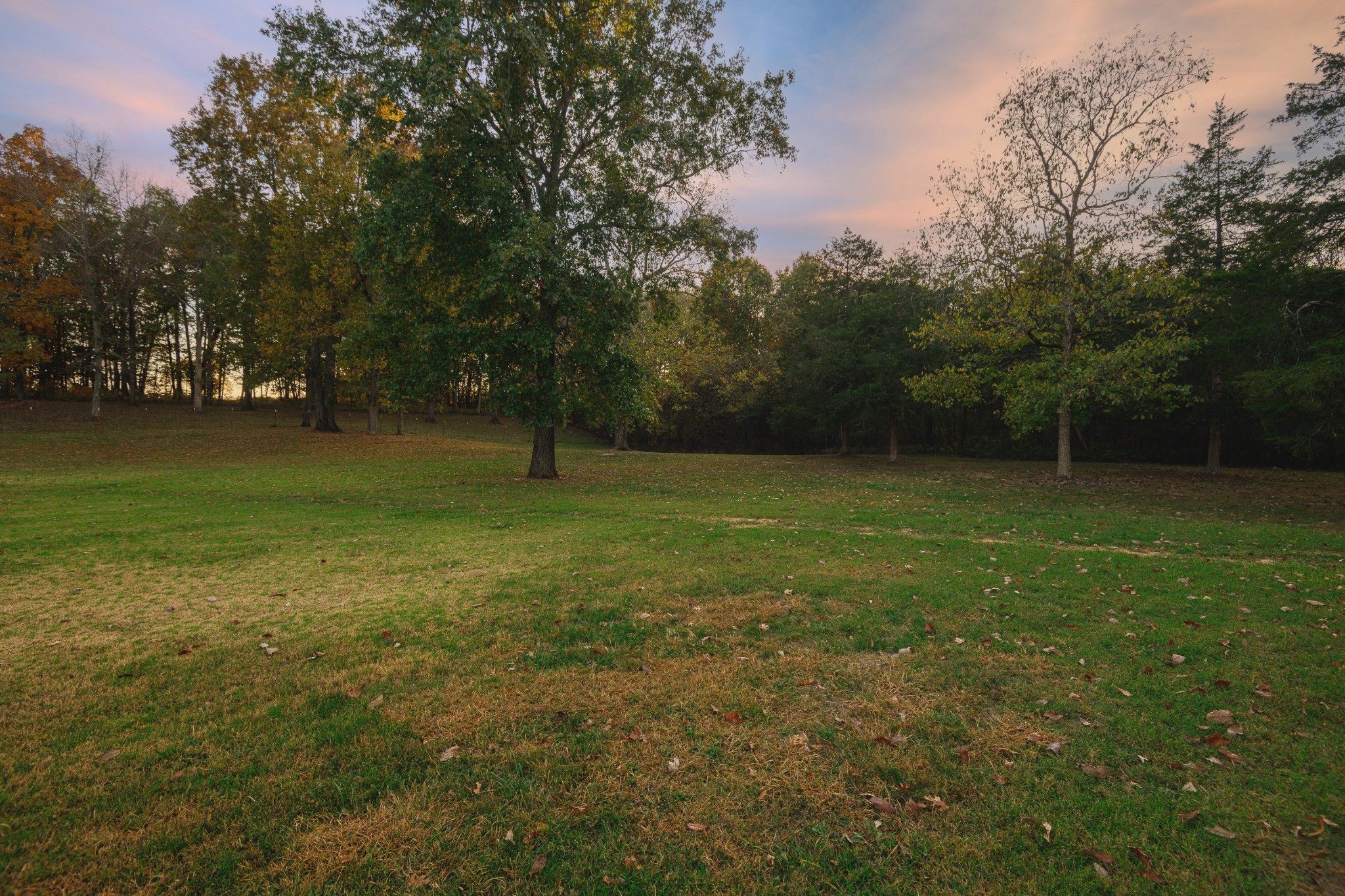 255 Troupe Road Shelbyville, TN 37160 - Photo 59 of 68 a view of outdoor space and yard