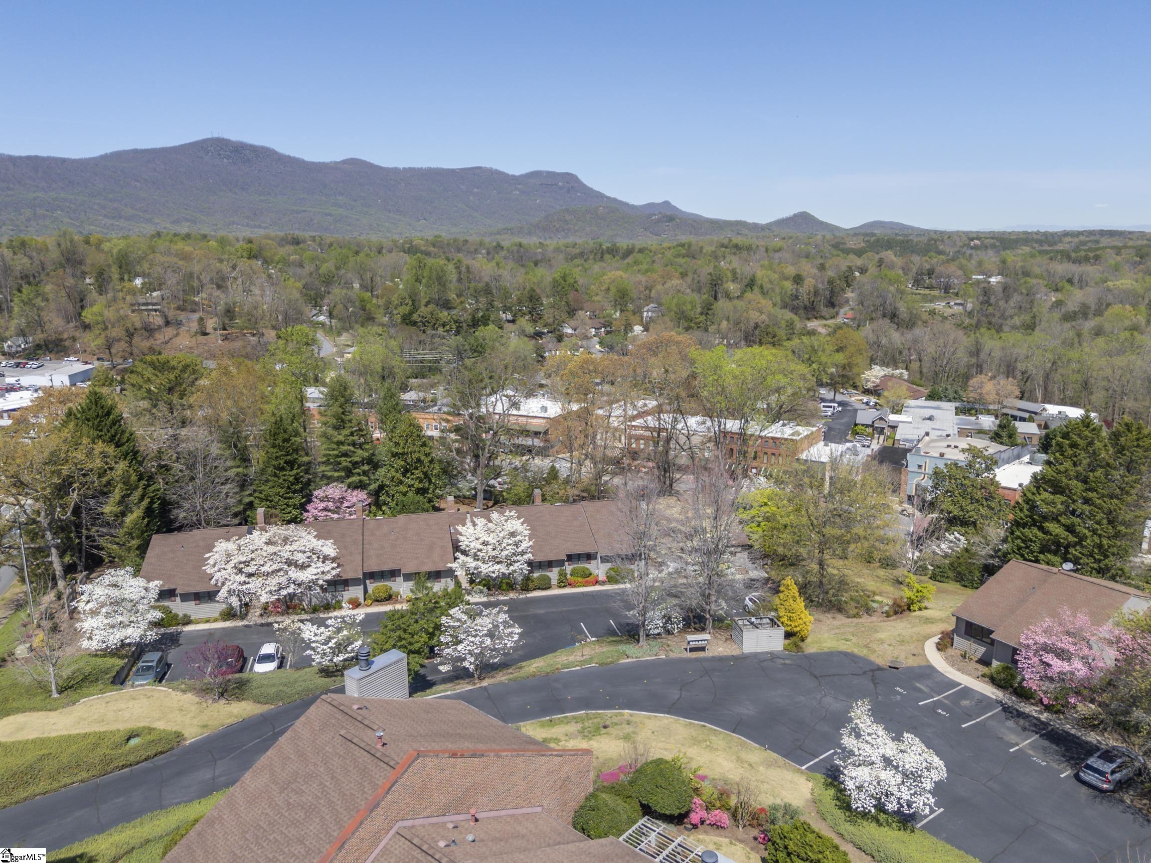 77 Chestnut Street, Unit OAK 301 Tryon, NC 28782 - Photo 39 of 39