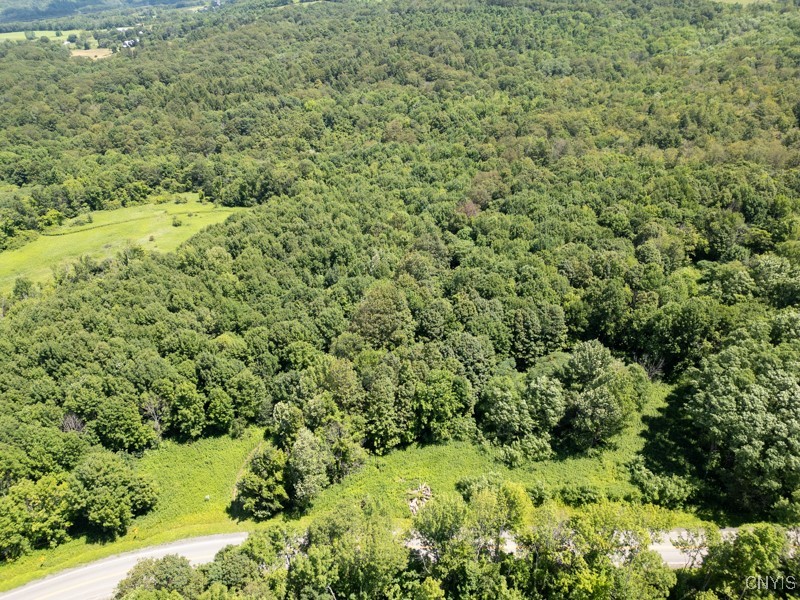 989 Robinson Road Warren, NY 13407 - Photo 2 of 8