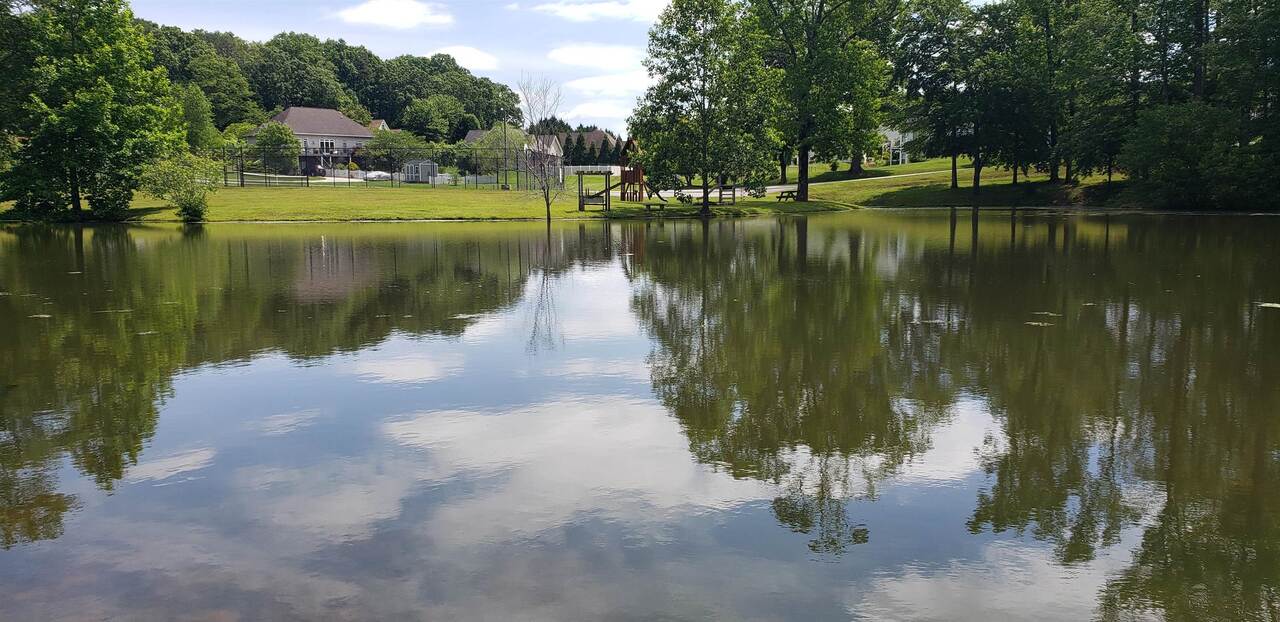a view of lake