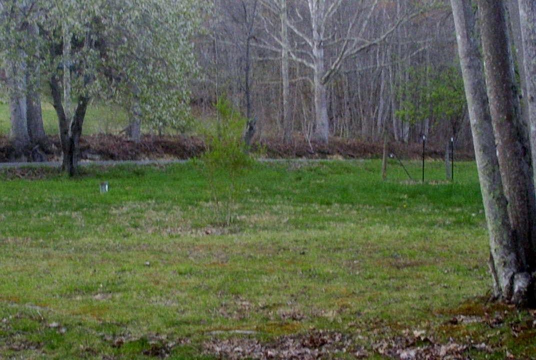 5938 Elk Knob Road Hinton, WV 25951 - Photo 9 of 29 Gallery Image 9
