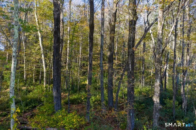 $95,000 | Lot 13 Somers Turnpike, Woodstock, CT 06281