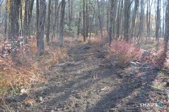 a view of backyard with green space