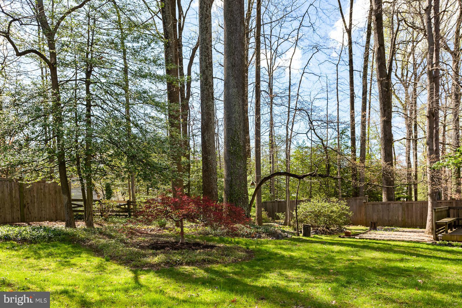 8940 Victoria Road Springfield, VA 22151 - Photo 22 of 29 Spring time in bloom.