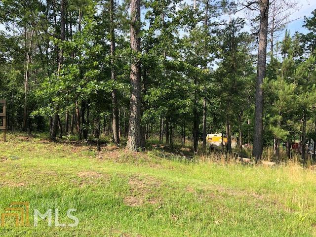 0 River Ridge Trail, Unit 384 Sparta, GA 31087 - Photo 1 of 1 Gallery Image 1