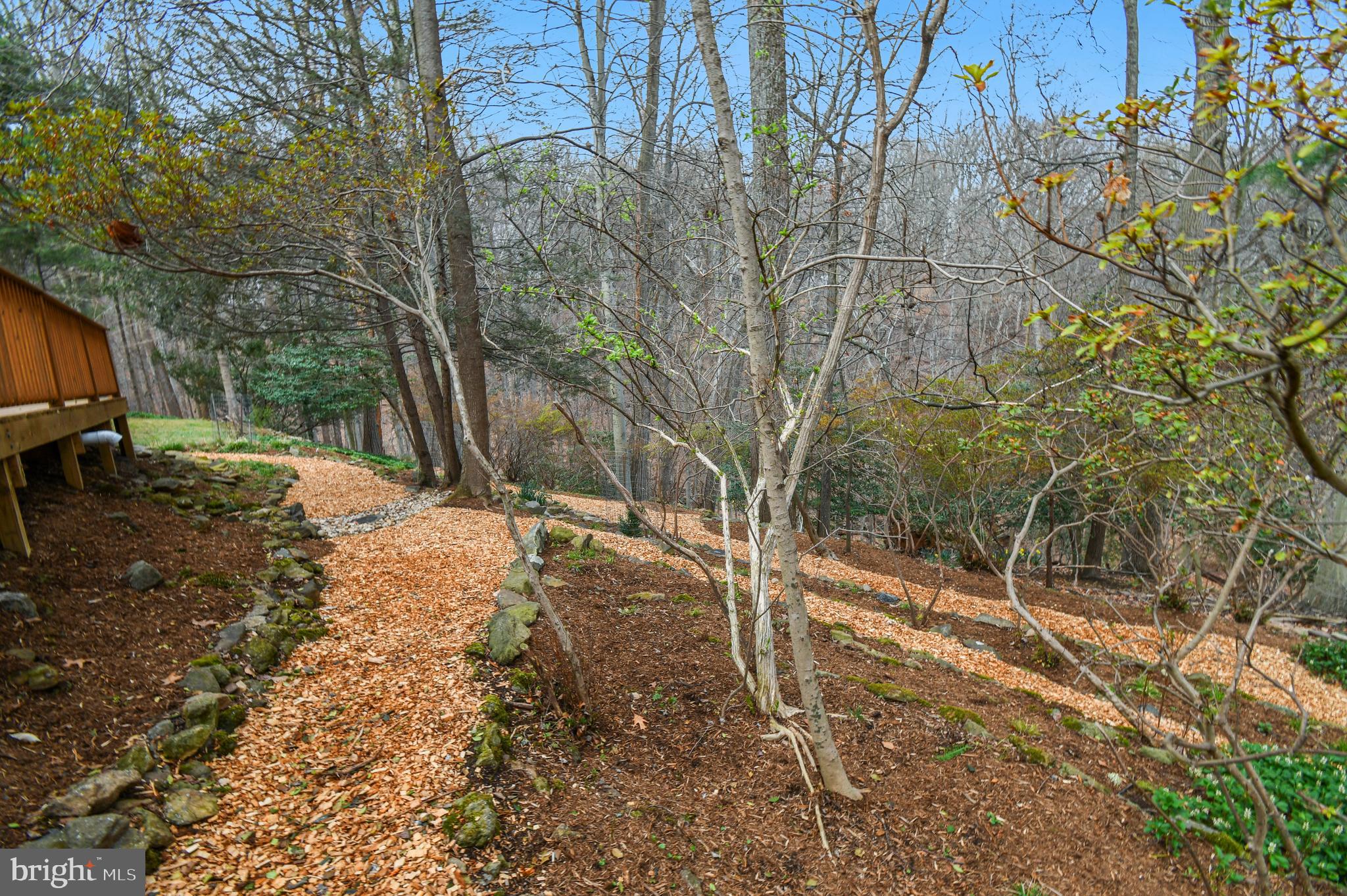 10605 Meadowhill Road Silver Spring, MD 20901 - Photo 46 of 59