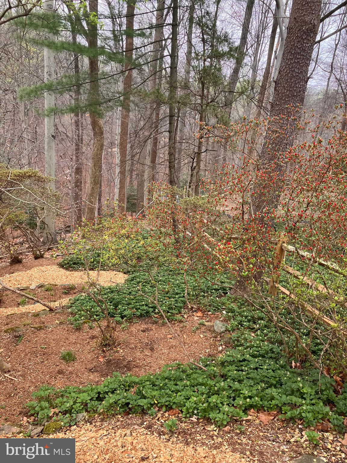 10605 Meadowhill Road Silver Spring, MD 20901 - Photo 47 of 59