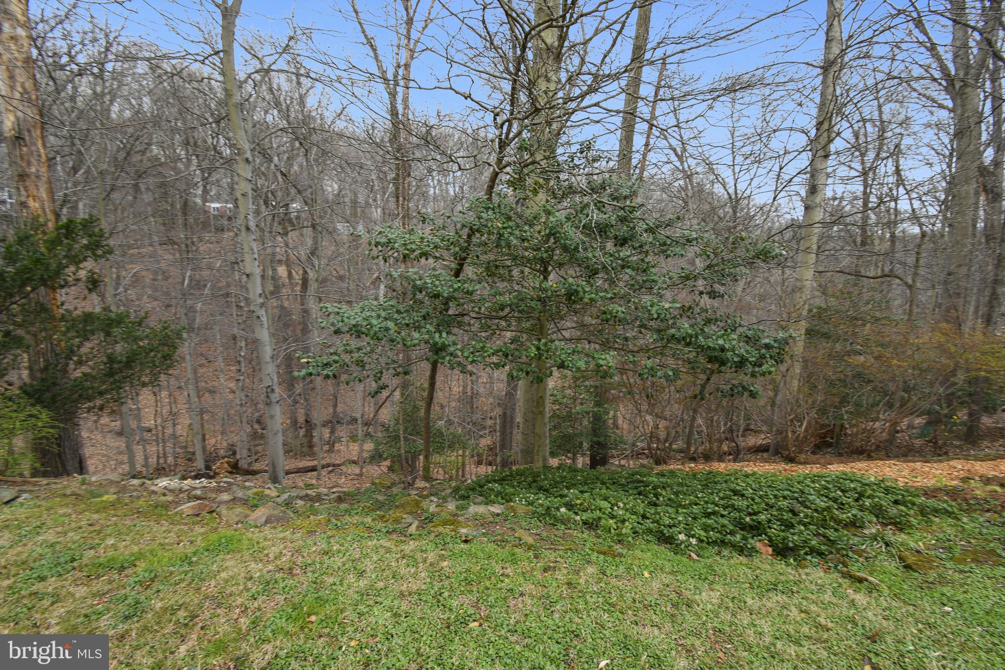 10605 Meadowhill Road Silver Spring, MD 20901 - Photo 49 of 59