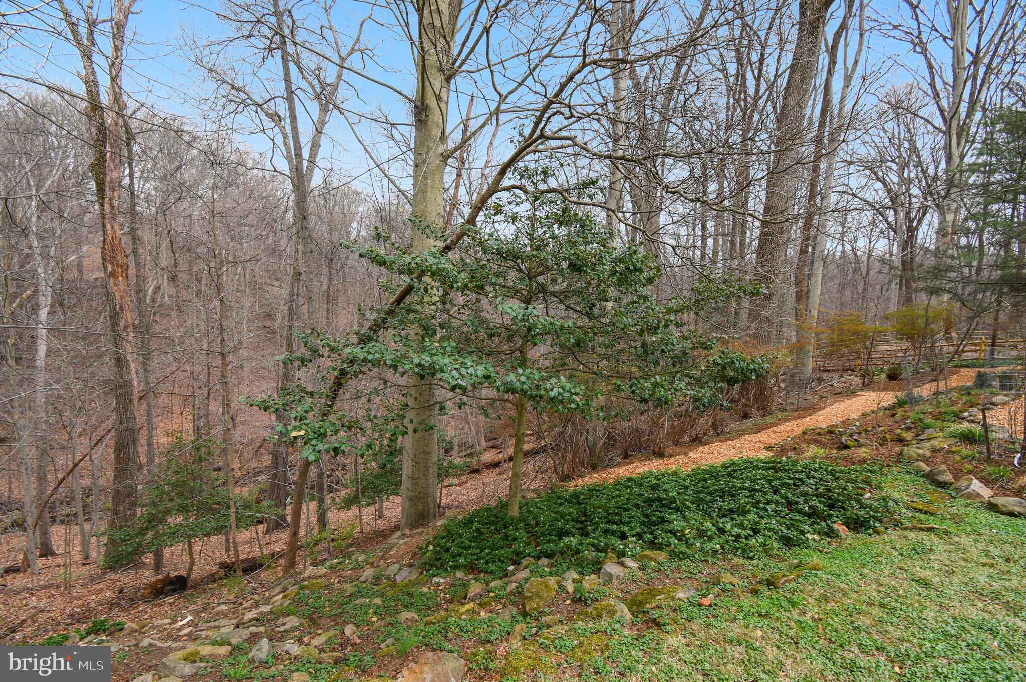 10605 Meadowhill Road Silver Spring, MD 20901 - Photo 50 of 59