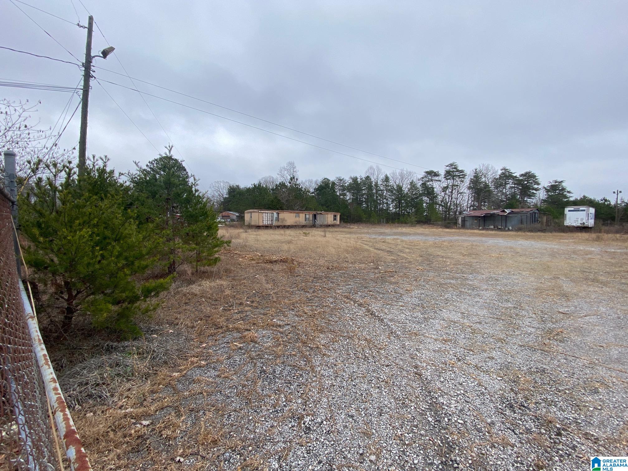 13330 Lock 17 Road, Unit ACREAGE Adger, AL 35006 - Photo 4 of 10 Gallery Image 4